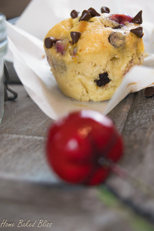 A closeup of a cherry chocolate chip muffin.