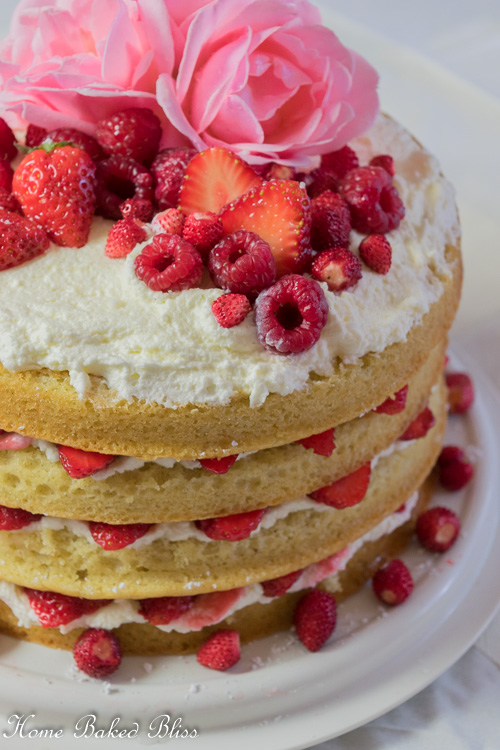 Closeup of the 4 layer berry cake