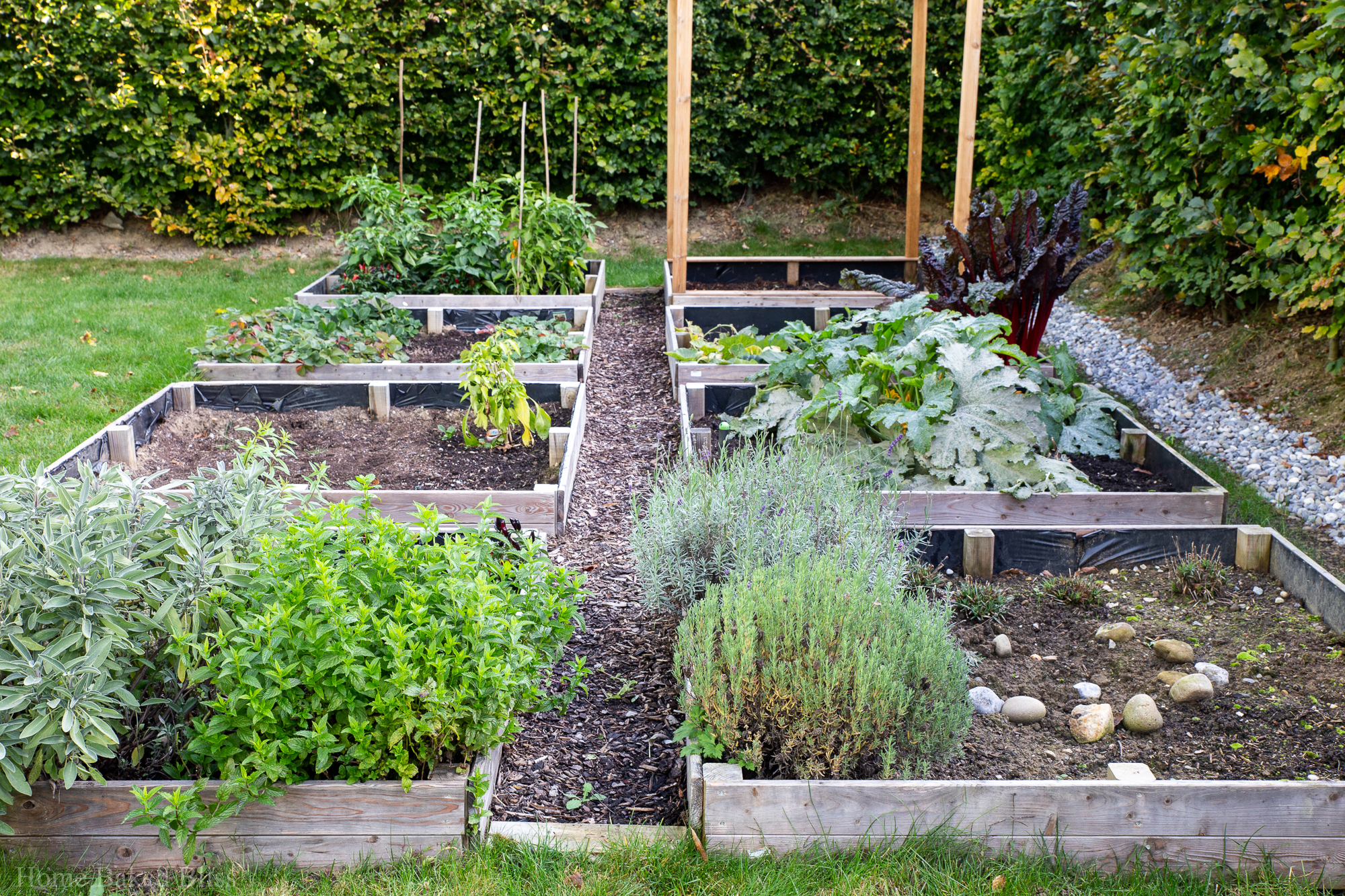 Overview of the vegetable beds