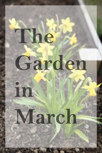 gardening, gardening tips, gardening march, what to plant in spring, how to grow vegetables