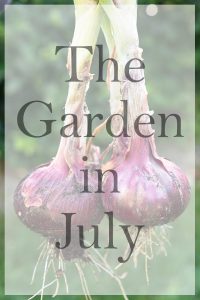 the garden in July title image