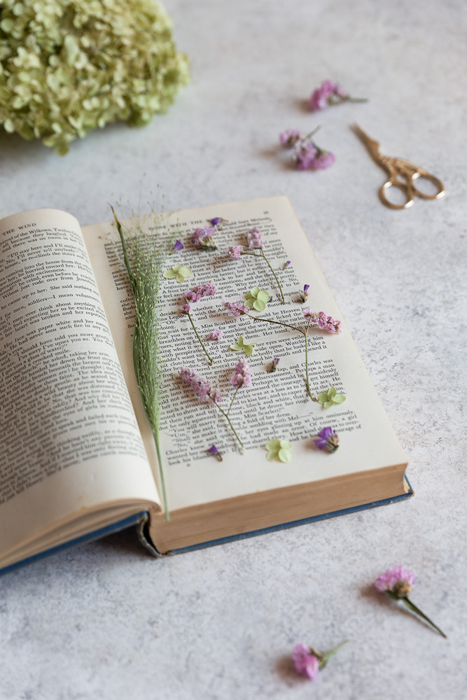 Blumen in einem Buch trocknen