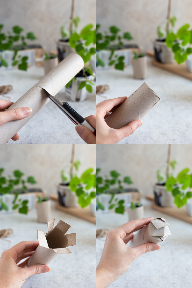 Toilet paper roll planter in 4 steps
