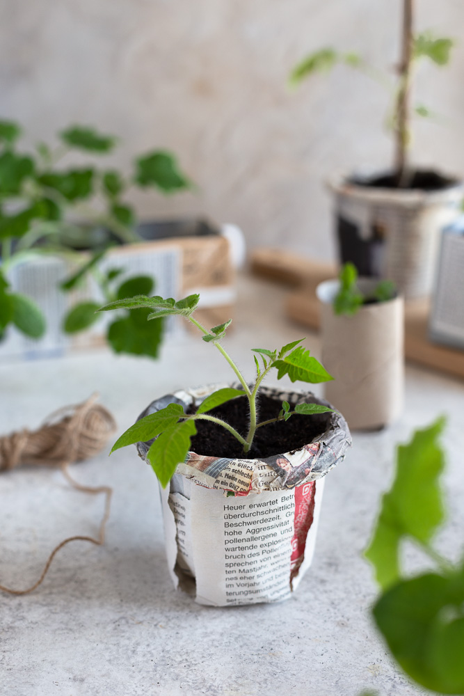 DIY seed starter pot out of newspaper