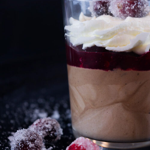 Rich chocolate mousse with cranberries