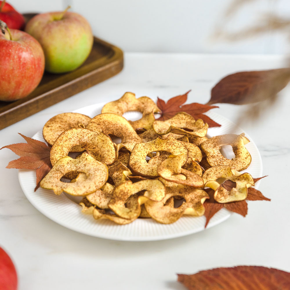 Homemade apple chips dusted with cinnamon