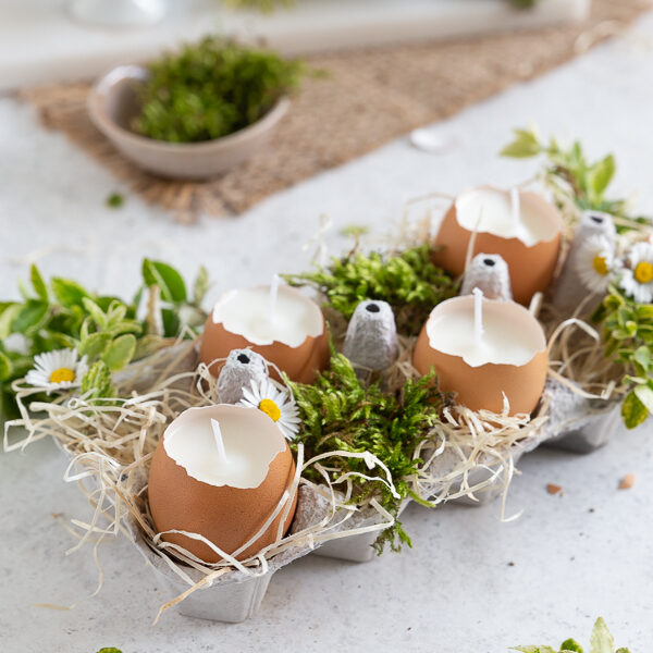 Eggshell candles in egg carton, decorated with greenery and flowers